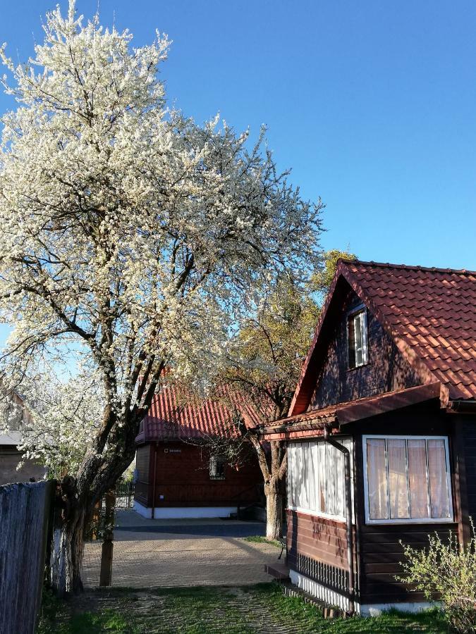 Domek Zapiecek Białowieża Exteriör bild
